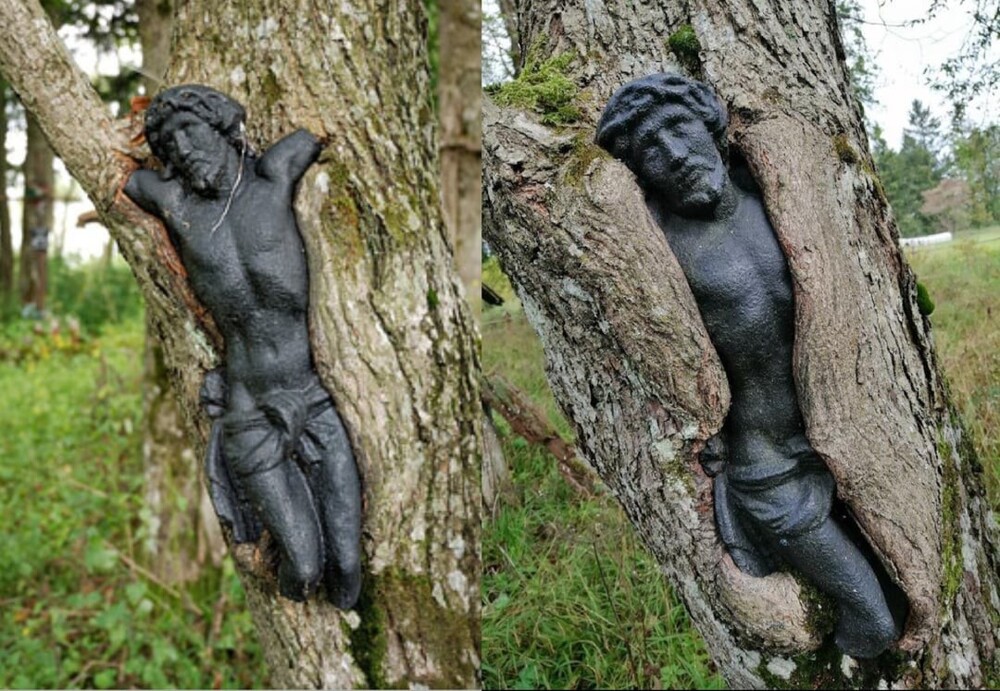 3. Скульптура Иисуса в Польше медленно поглощается деревом. Фотографии были сделаны с разницей в двенадцать лет