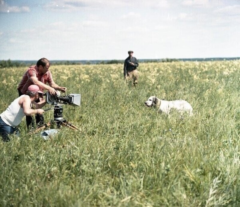 На съемках фильма «Белый Бим Черное ухо», 1975 год. Фото: МАММ/МДФ (Игорь Гневашев)