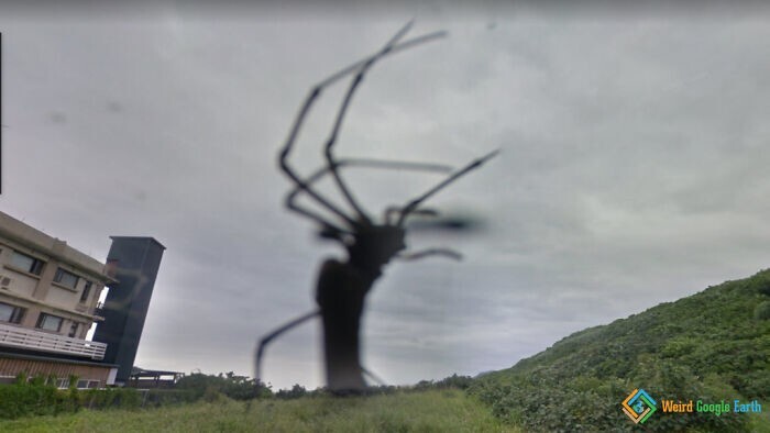 17. Огромный паук попал на карты в Тайнане, Тайвань