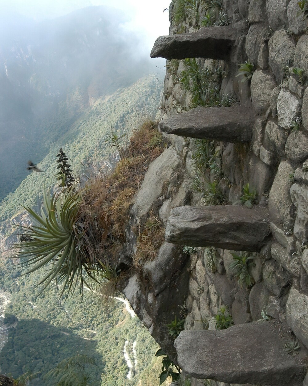 10. «Лестница смерти» — это каменные ступени, построенные инками и ведущие к вершине Уайна-Пикчу в Перу, одной из крутых гор, возвышающихся над Мачу-Пикчу