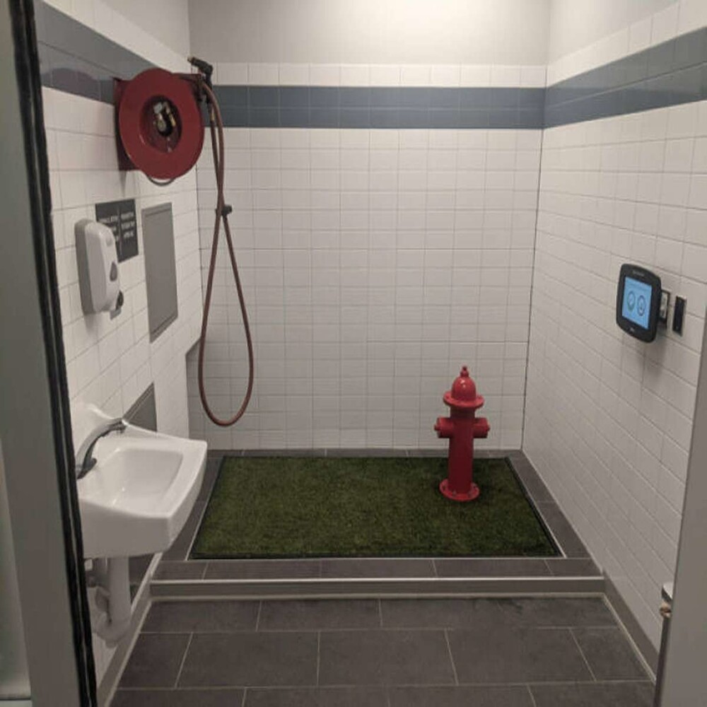 24. Туалет для животных в аэропорту