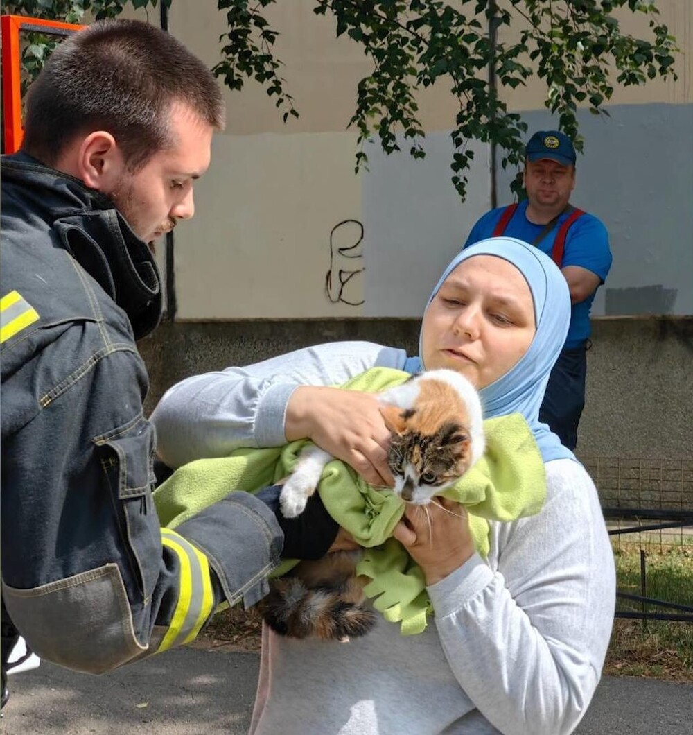 Пожарные спасли кошку, просидевшую на дереве 12 часов