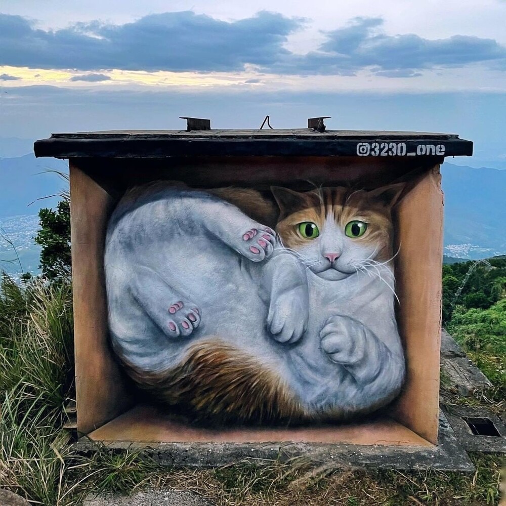 10. Кот в коробке, автор Влади, Гонконг