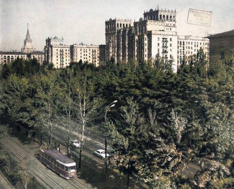 Ломоносовский проспект утопает в зелени, 1981 год