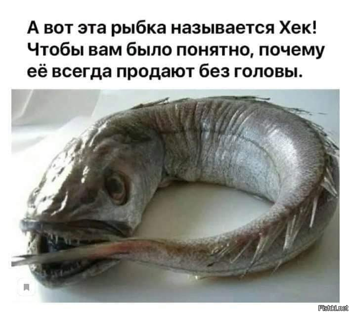 Хек