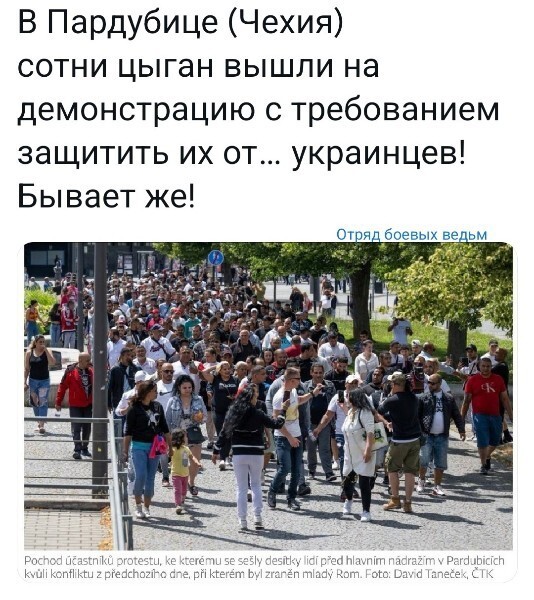 Лишь о политике