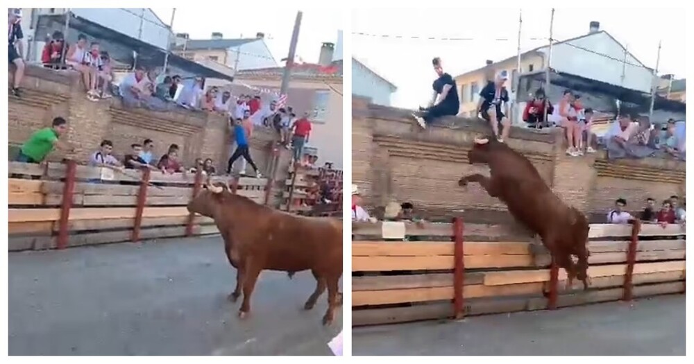 Измученное животное жестоко отомстило зрителям во время традиционного забега быков в Кастехоне, Испания