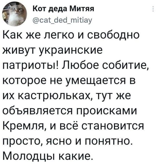 Лишь о политике