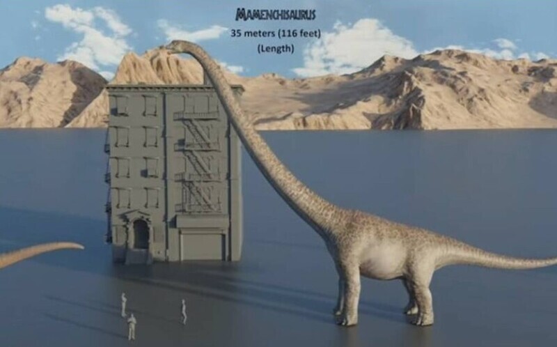 Размеры динозавров в сравнении с тем, что нас окружает сегодня