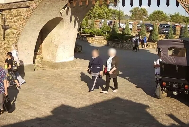 Две пенсионерки похитили цветочный куст из парка