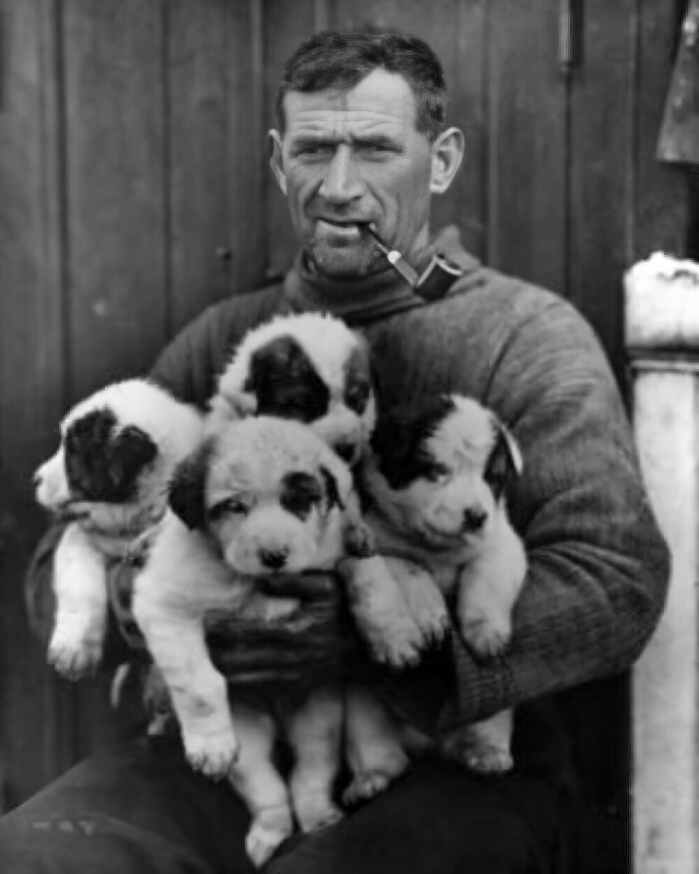 2. Легендарный ирландский исследователь Антарктики Том Крин. Он был участником трёх крупных экспедиций в Антарктиду, включая экспедицию Роберта Фалькона Скотта на Терра Нова 1911–1913 гг.