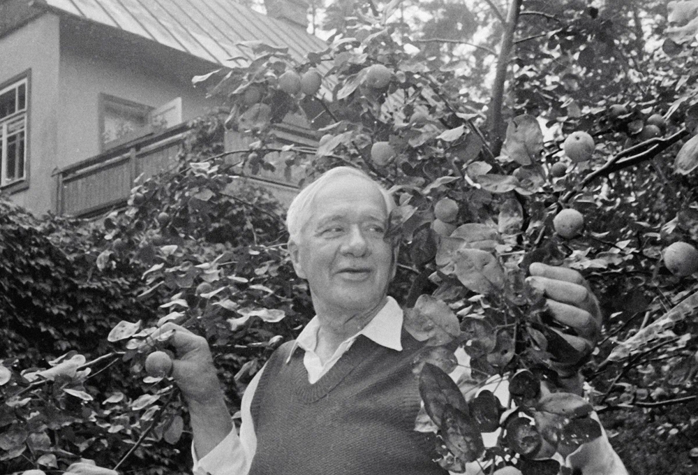 Писатель Корней Чуковский в своем фруктовом саду на подмосковной даче, 1957 год