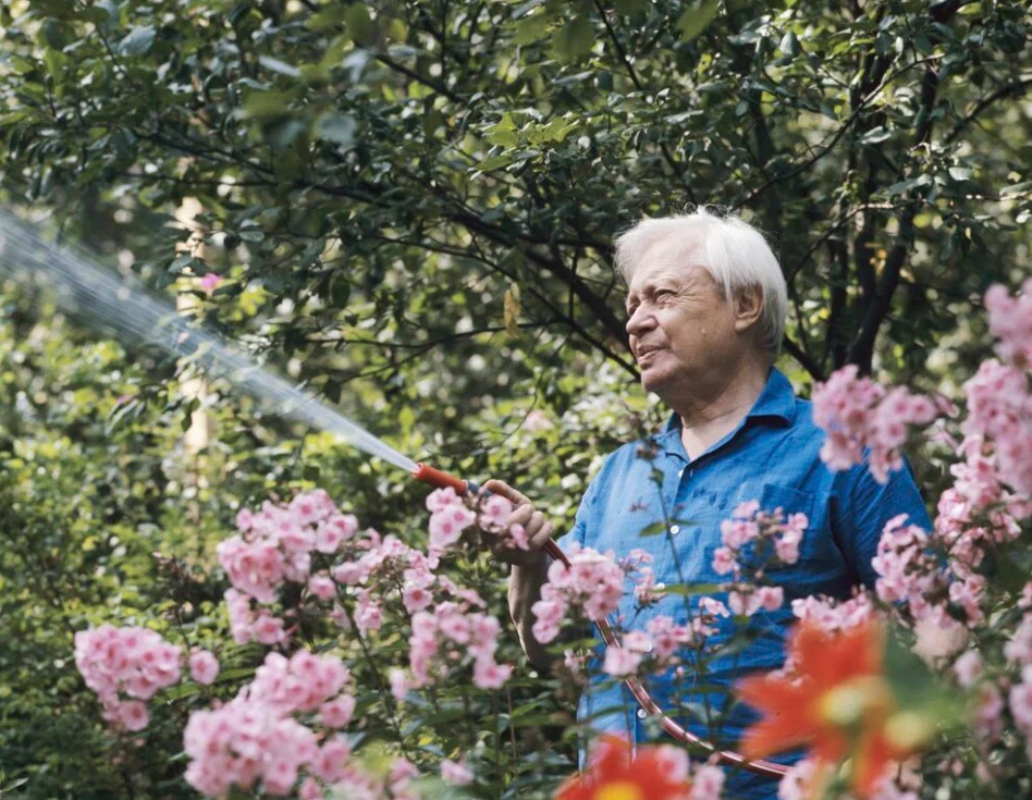 Сергей Образцов поливает цветы на даче в Подмосковье, 1975 год