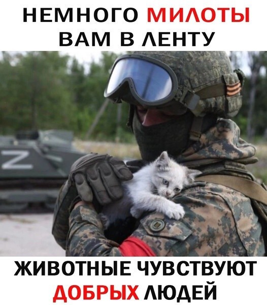 Лишь о политике