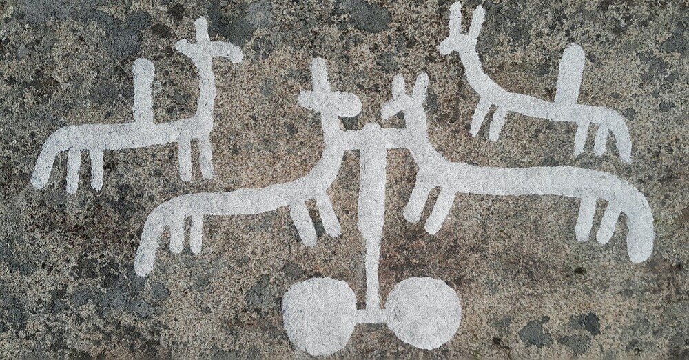 Под мхом найдены петроглифы возрастом 2700 лет