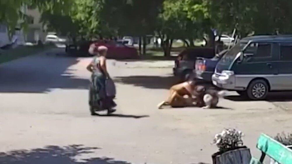 В Челябинской области мужчина спас женщину и маленькую собачку, на которых напал бездомный пёс