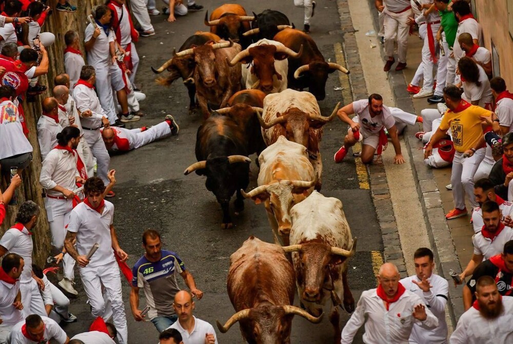 Испанский фестиваль забегов с быками Сан-Фермин снова отметился жертвами среди участников