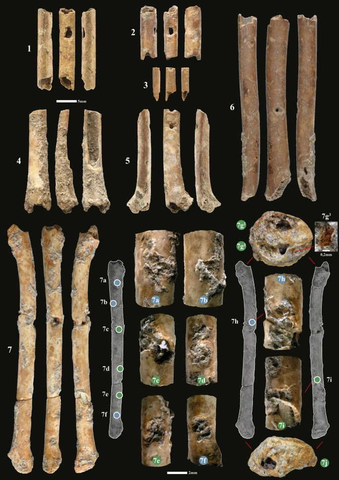 Аэрофоны, которым более 12 тысяч лет, обнаружили израильские археологи