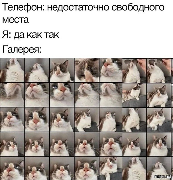 Солянка от 12.07.2023