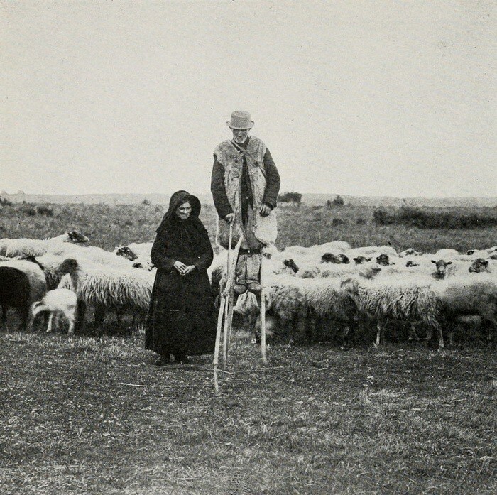 Как французские пастухи использовали ходули