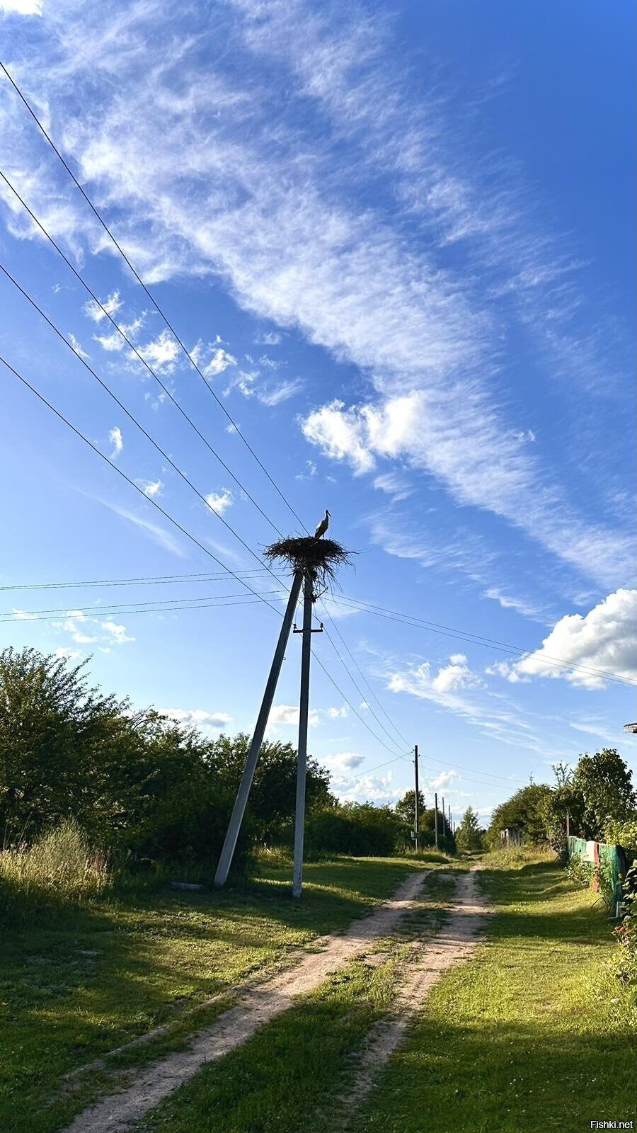 Солянка от 13.07.2023