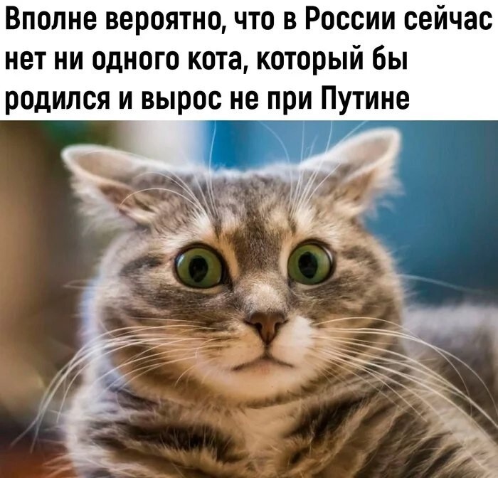 Всех с пятницей и отличного вечера!!!