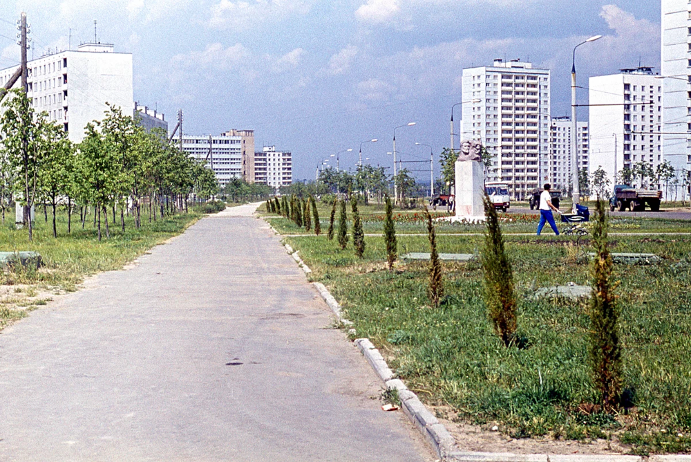 Улица 26 Бакинских комиссаров в Тропарёво-Никулино и только-только высаженные деревья.