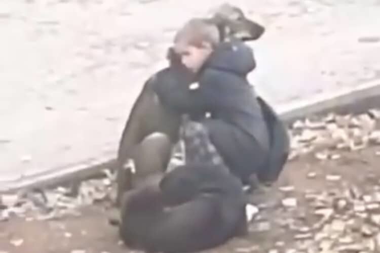 В трогательном видео школьник обнимает двух бездомных собак