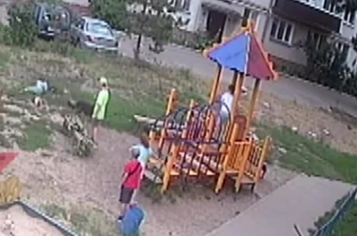 В Казани на детской площадке собака искусала ребёнка