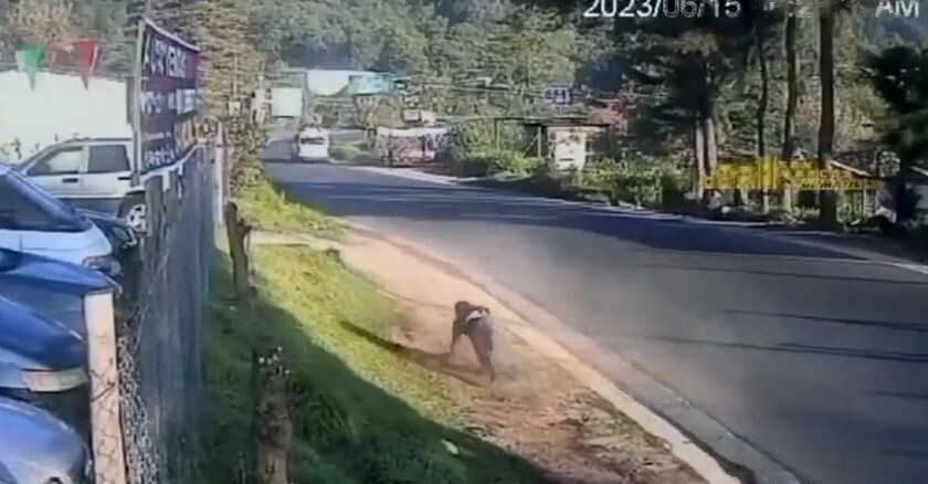 В Сальвадоре автомобиль на большой скорости сбил переходящего через дорогу мужчину