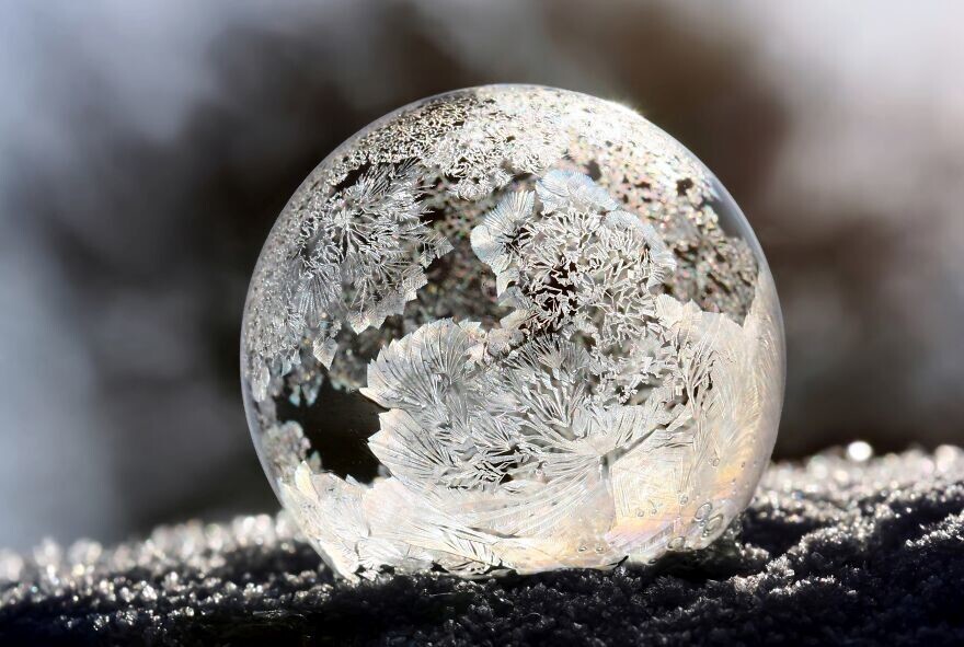 11. Замороженный пузырь. Автор — Даниэла Рапава