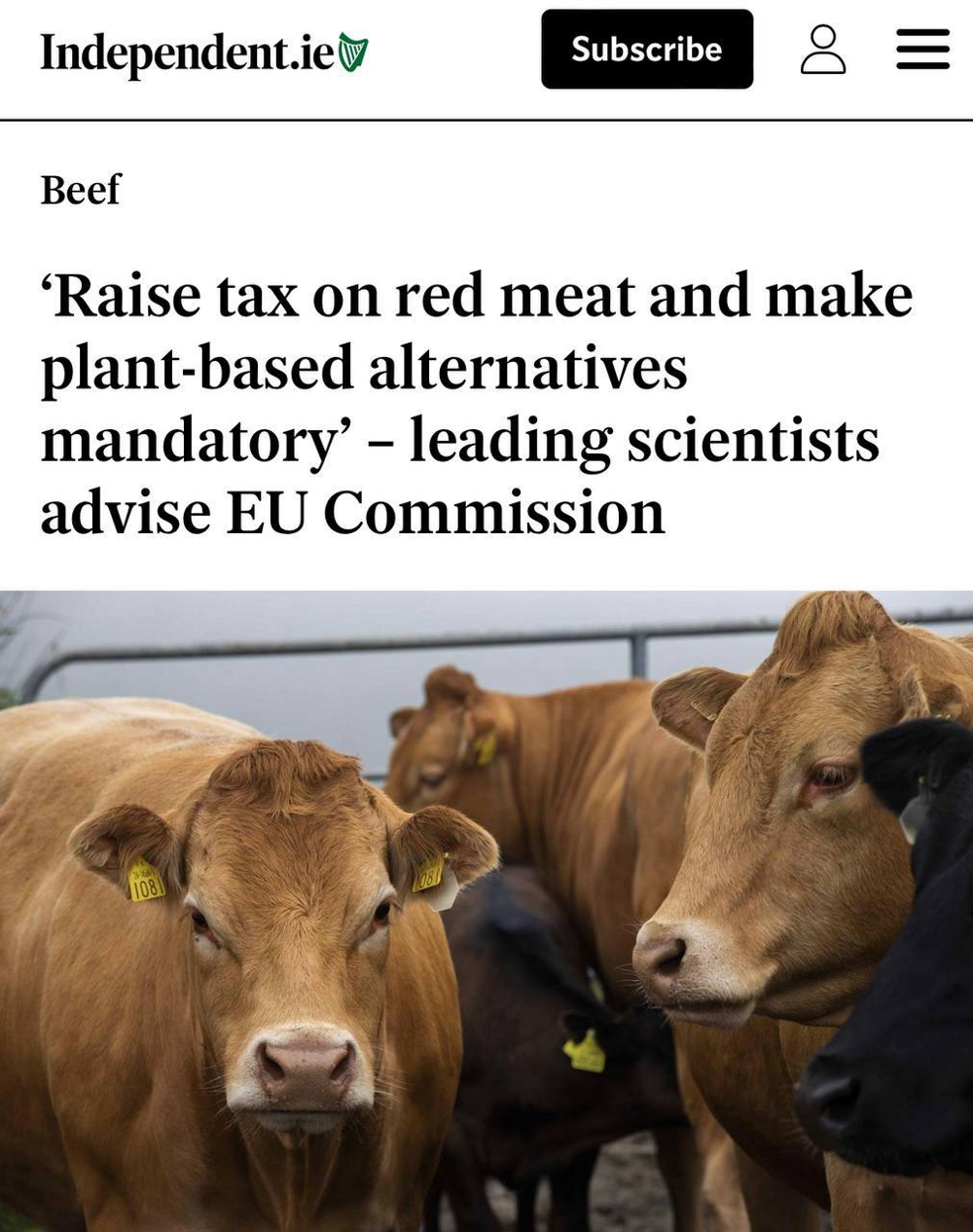 «Повысьте налог на красное мясо»: в ЕС учёные требуют переводить людей на мясо насекомых