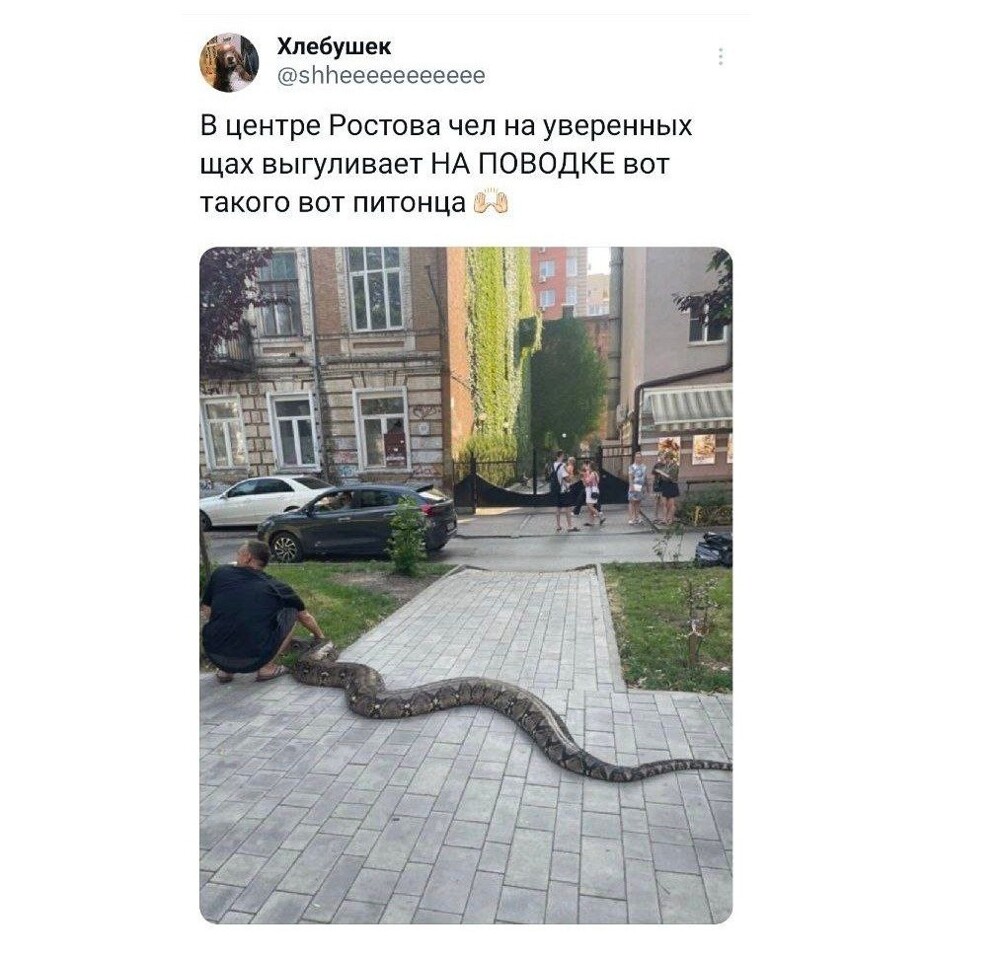 4. Вниманий! Ростовчанин играет в змейку на улице