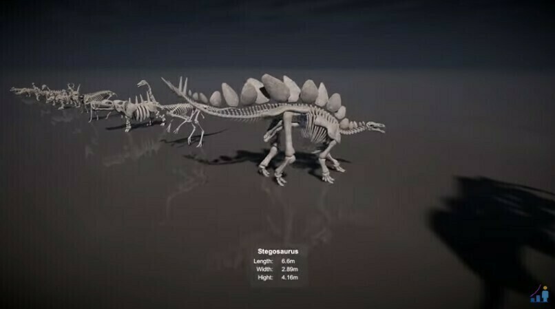 Как выглядят скелеты настоящих и вымерших животных