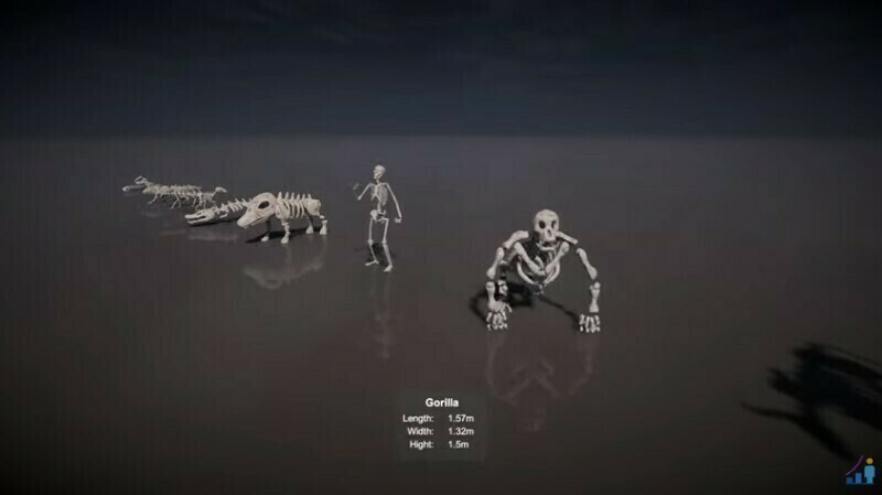 Как выглядят скелеты настоящих и вымерших животных