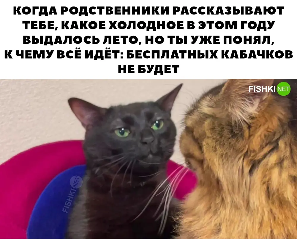 Сажаем, растим, собираем урожай…