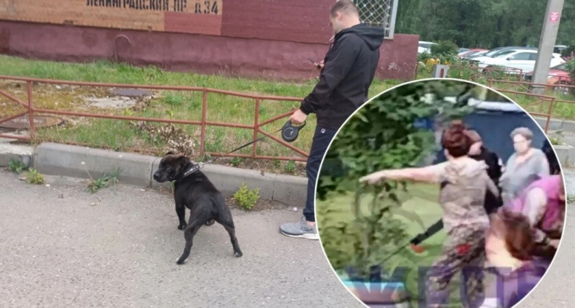 «Убери ружье, скотина старая»: в Ярославле женщина с винтовкой поскандалила с соседями из-за собак