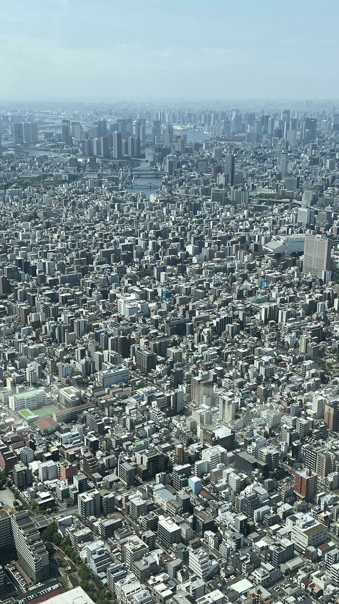 25. Вид на Токио