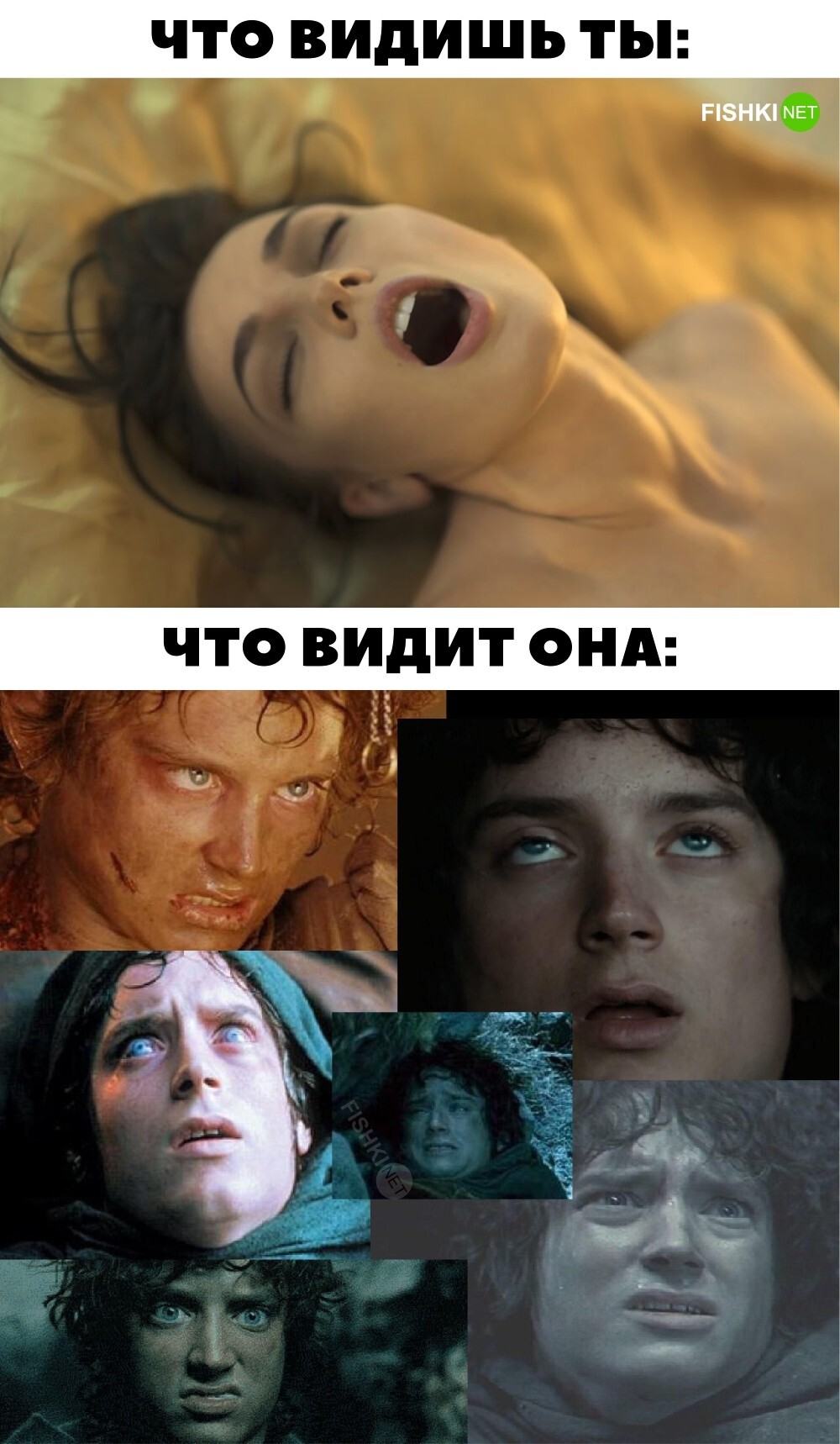 Что видишь ты, что видит она