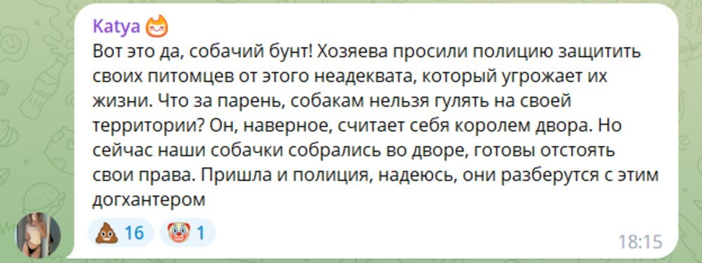 «У меня чуть-чуть с головой проблемы»: в Москве догхантер запретил жильцам элитного ЖК выгуливать собак во дворе