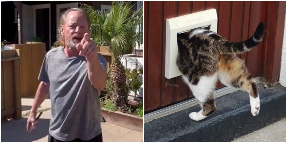 Соседи обвинили американца в том, что он "соблазняет" их кошку