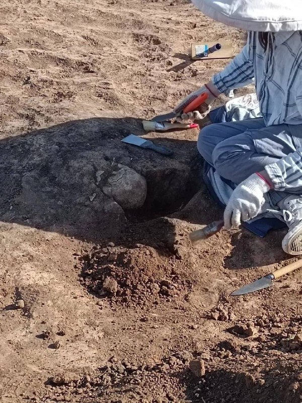 В Актанышском районе при строительстве трассы М7 найдено старое кладбище
