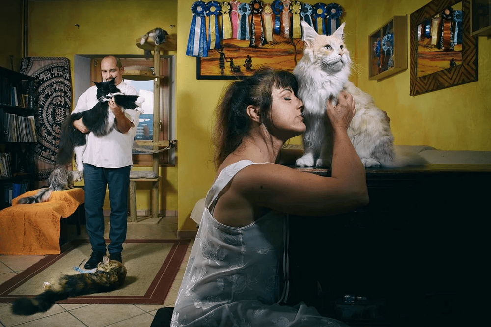 16 фото от итальянки, которая снимает людей, чья связь с животными куда интереснее, чем просто завести кота