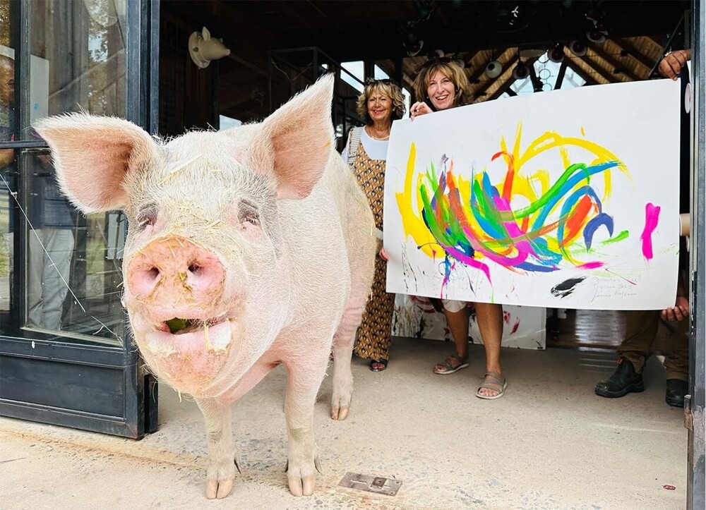 Свинья-художник нарисовала картины на 1 млн долларов