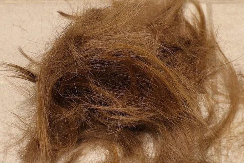 Австралиец обнаружил в стенах своего дома 10 килограммов человеческих волос