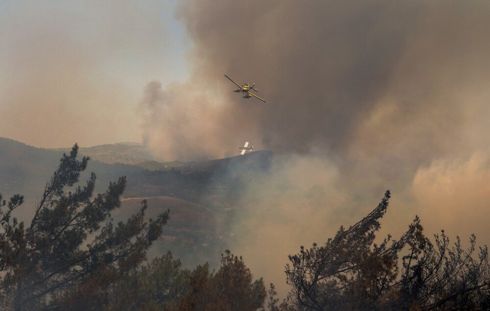 "Правительство скорее сожжет всю Грецию, чем попросит у России самолеты": жители - о лесных пожарах в стране
