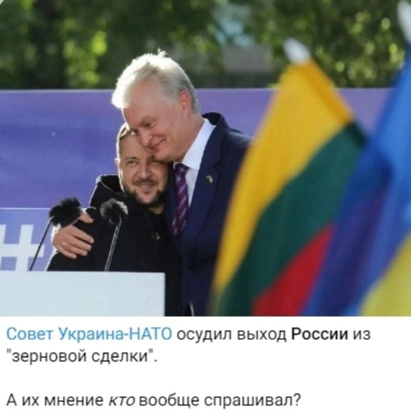 Совет "Совету Украина - НАТО": осудил - засунь себе в осуждалово 