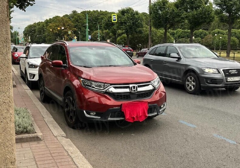 В Петербурге платная парковка оставила водителя буквально без трусов
