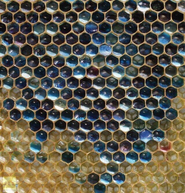6. Мёд от пчёл, которые сделали налёт на фабрику "M&M’s"
