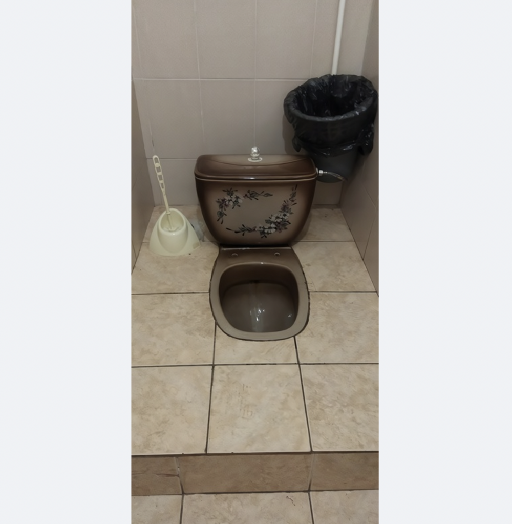 9. Служебный туалет в Оренбургском государственном медицинском университете